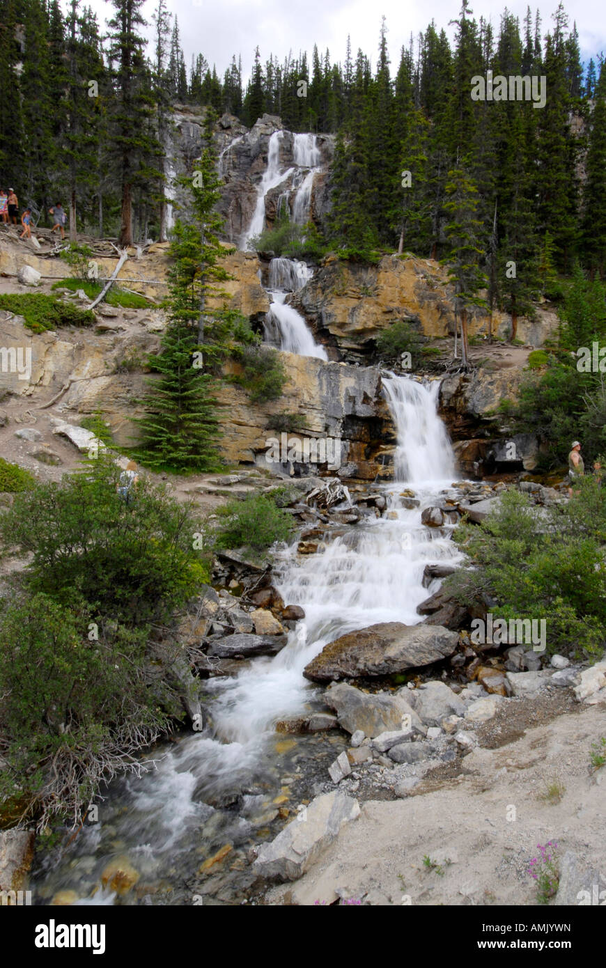 Tangle Wasserfällen entlang Icefields Parkway-Banff Nationalpark Alberta Kanada kanadischen Rockies kanadischen Rocky Mountains Stockfoto