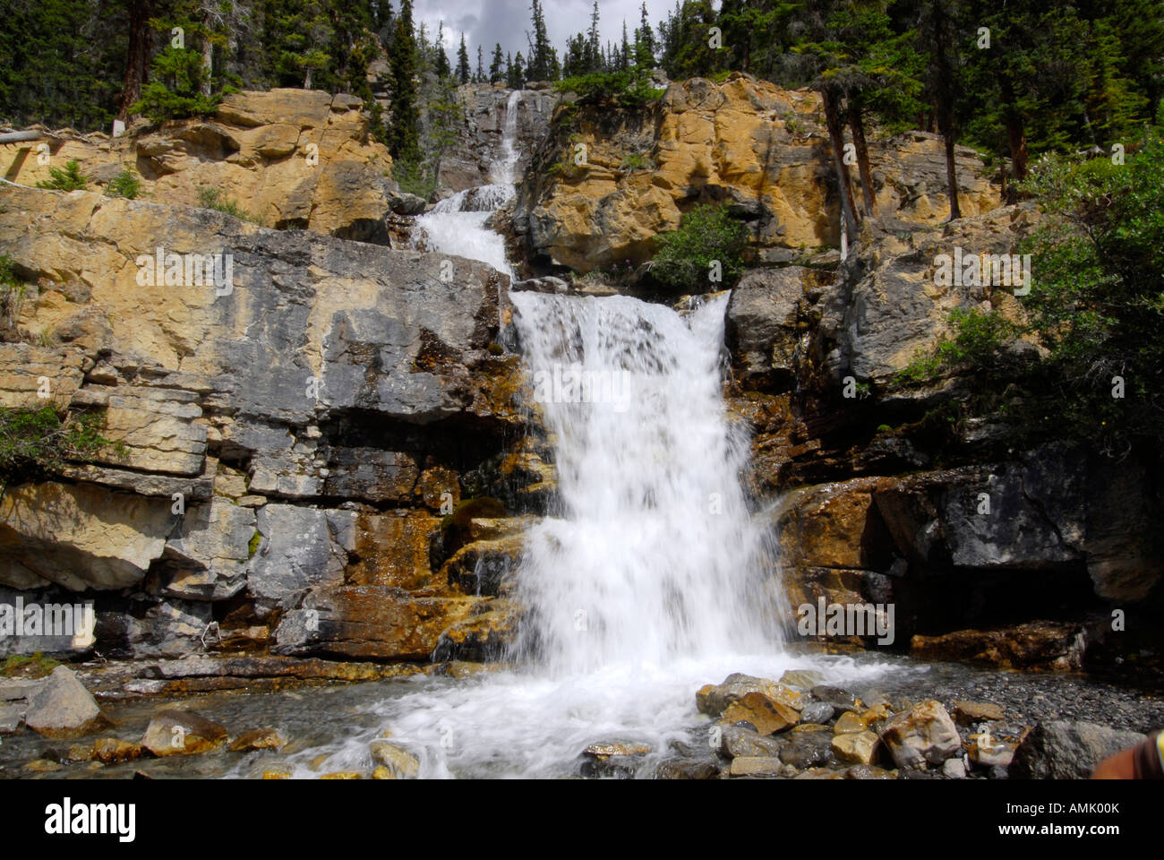 Tangle Wasserfällen entlang Icefields Parkway-Banff Nationalpark Alberta Kanada kanadischen Rockies kanadischen Rocky Mountains Stockfoto