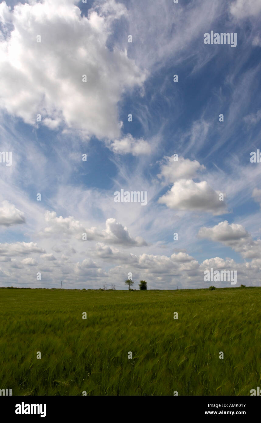 Cirrus und Cumulus Wolken über Norfolk Ackerland Stockfoto