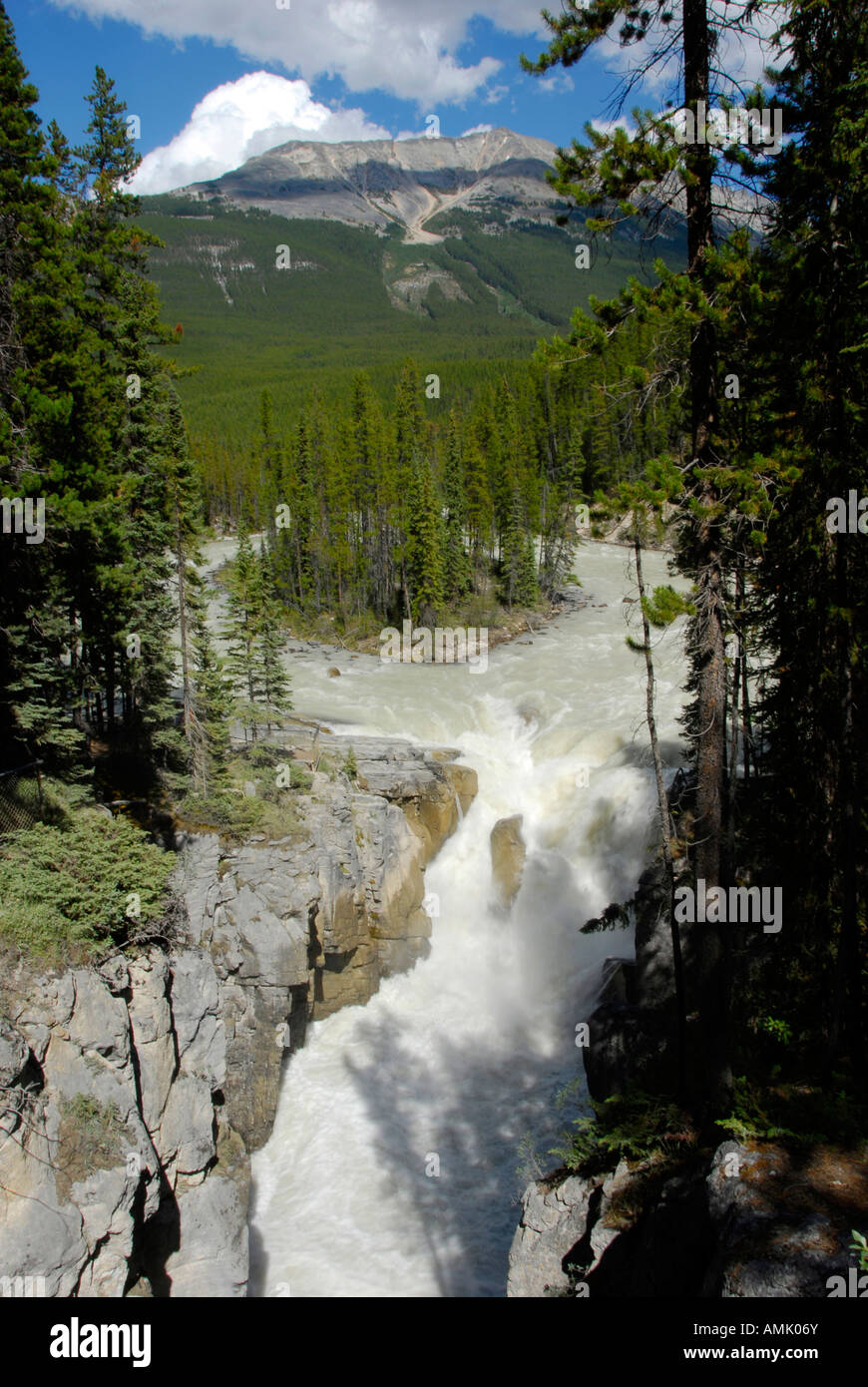 Athabasca Falls Jasper Nationalpark Alberta Kanada kanadischen Rockies kanadischen Rocky Mountains Stockfoto
