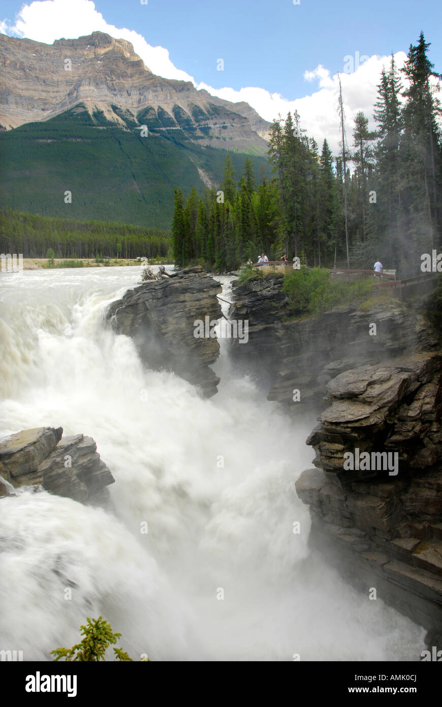 Athabasca Falls Jasper Nationalpark Alberta Kanada kanadischen Rockies kanadischen Rocky Mountains Stockfoto