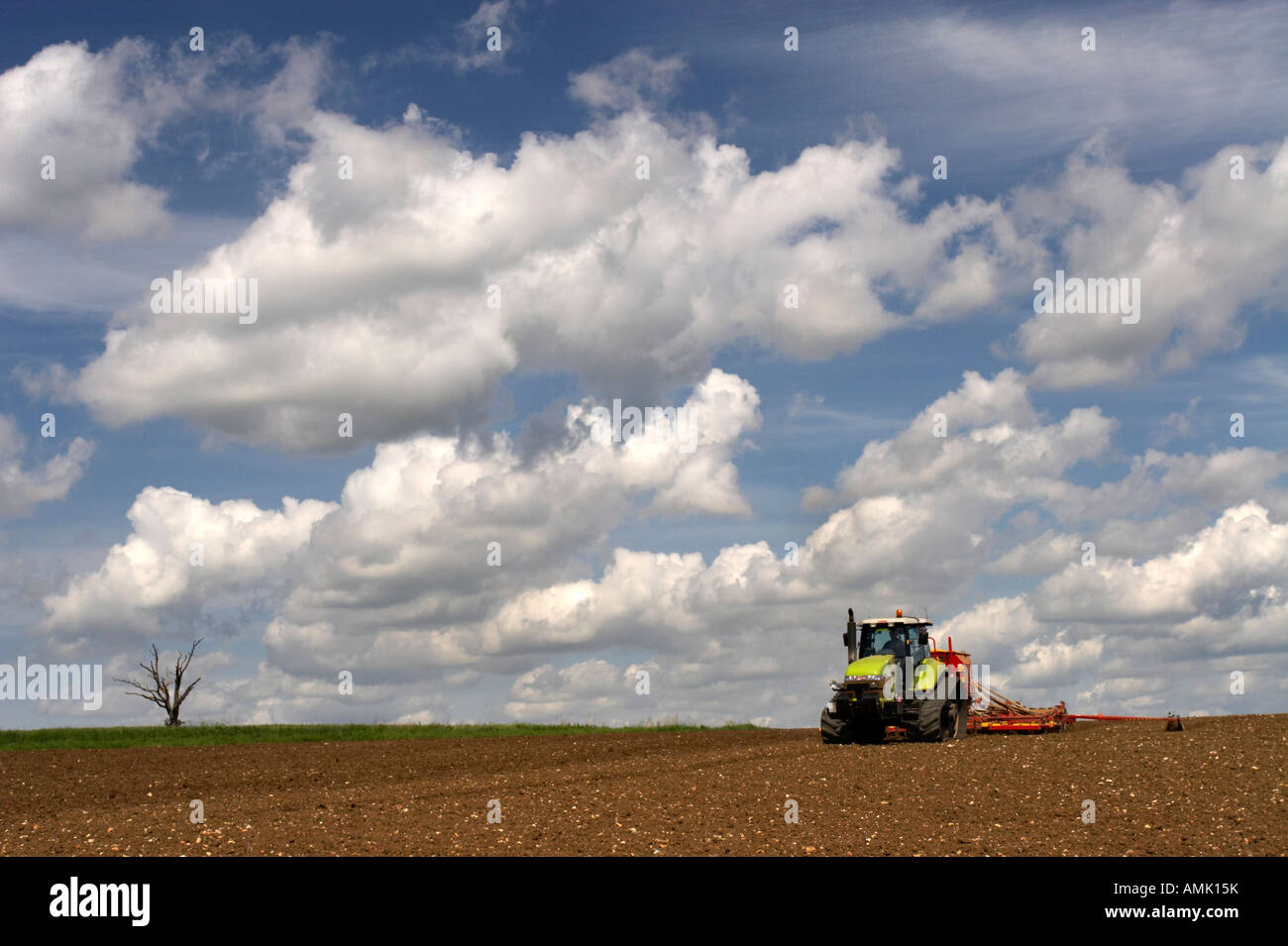 Anpflanzung von Erbsen in Norfolk, Frühling 2007 Stockfoto