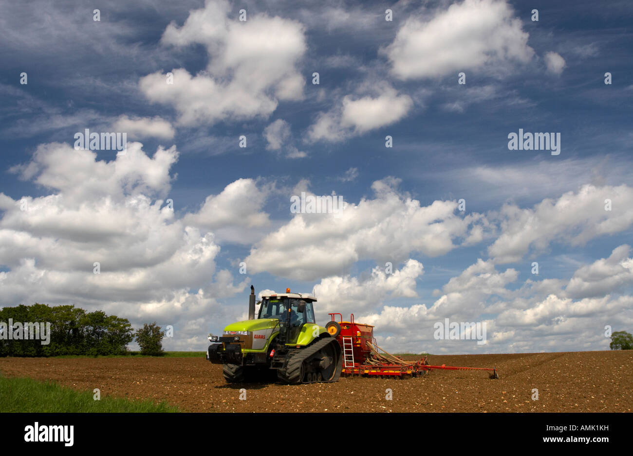 Anpflanzung von Erbsen in Norfolk, Frühling 2007 Stockfoto