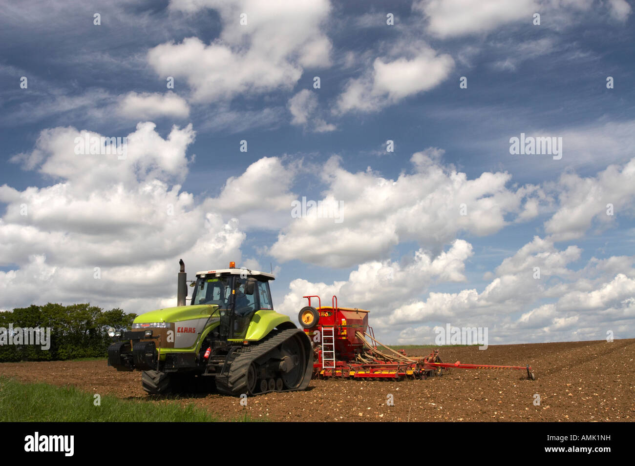 Anpflanzung von Erbsen in Norfolk, Frühling 2007 Stockfoto