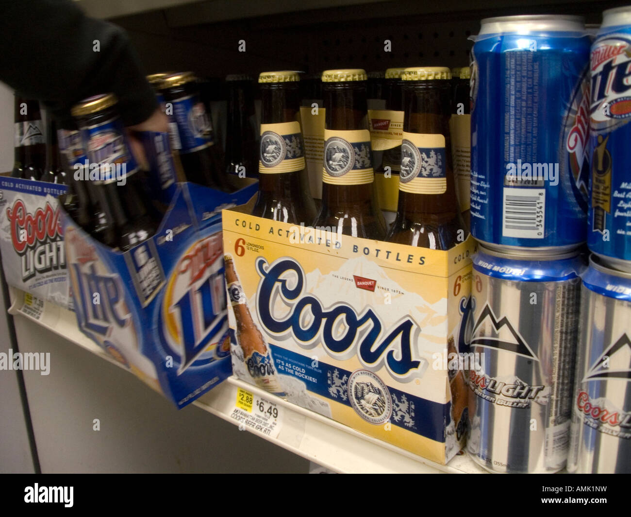 Sixpacks von Coors und Miller Bier in einem Supermarktregal Stockfoto