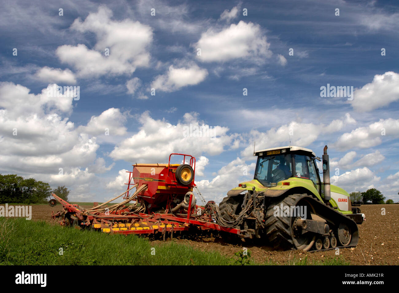 Anpflanzung von Erbsen in Norfolk, Frühling 2007 Stockfoto