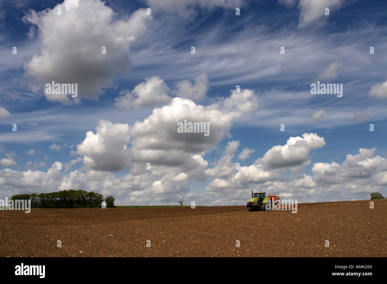Anpflanzung von Erbsen in Norfolk, Frühling 2007 Stockfoto