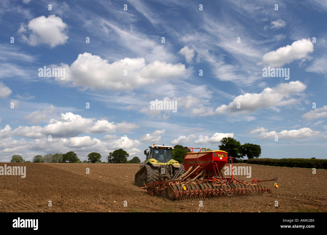 Anpflanzung von Erbsen in Norfolk, Frühling 2007 Stockfoto