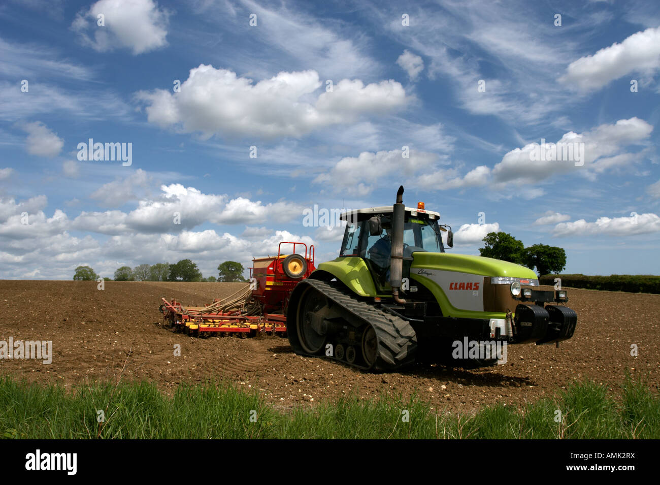 Anpflanzung von Erbsen in Norfolk, Frühling 2007 Stockfoto