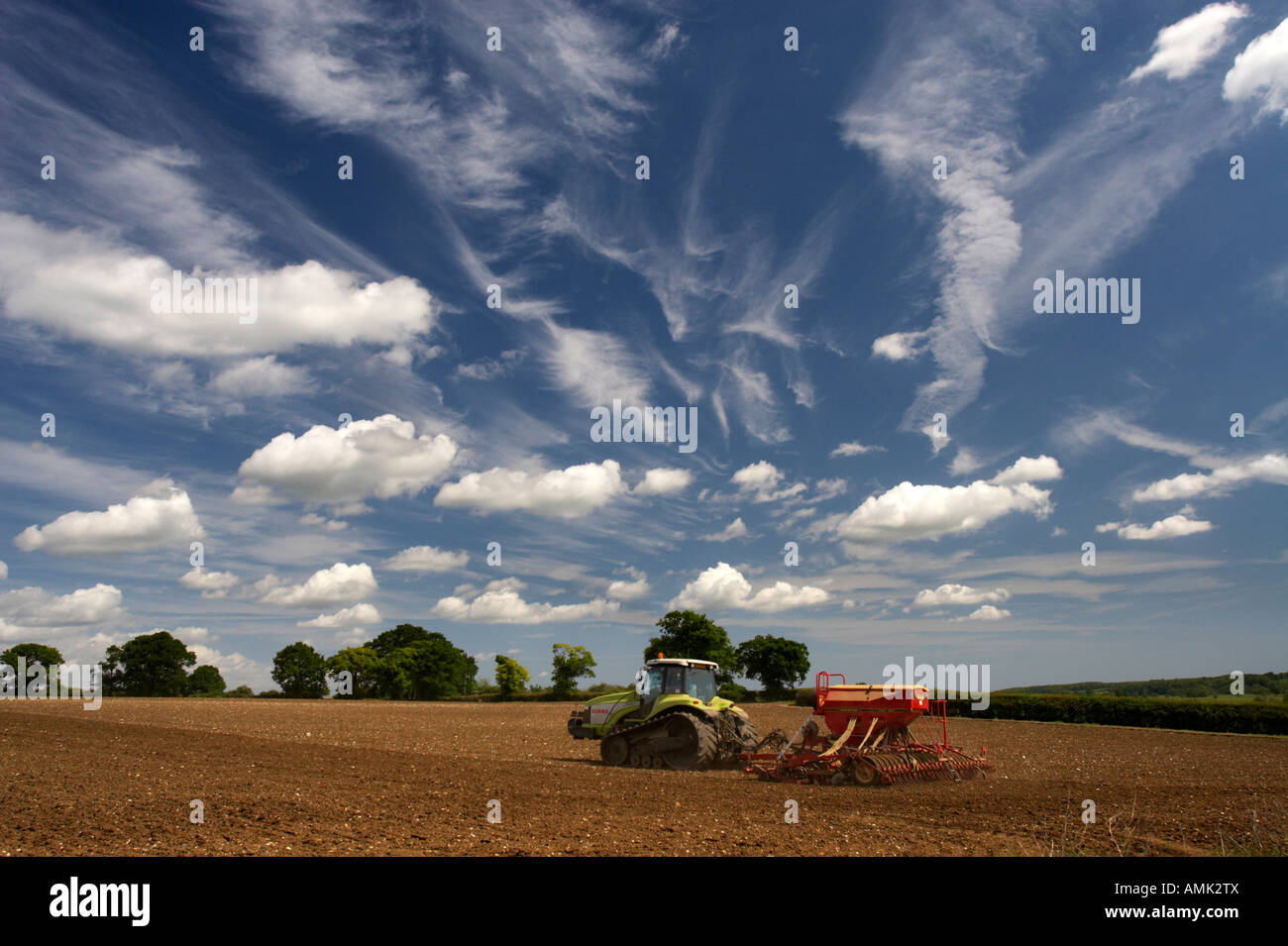 Anpflanzung von Erbsen in Norfolk, Frühling 2007 Stockfoto
