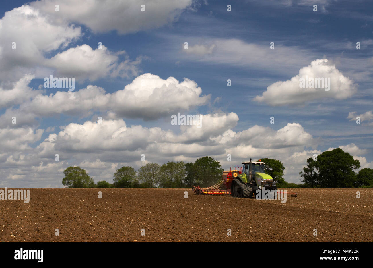 Anpflanzung von Erbsen in Norfolk, Frühling 2007 Stockfoto