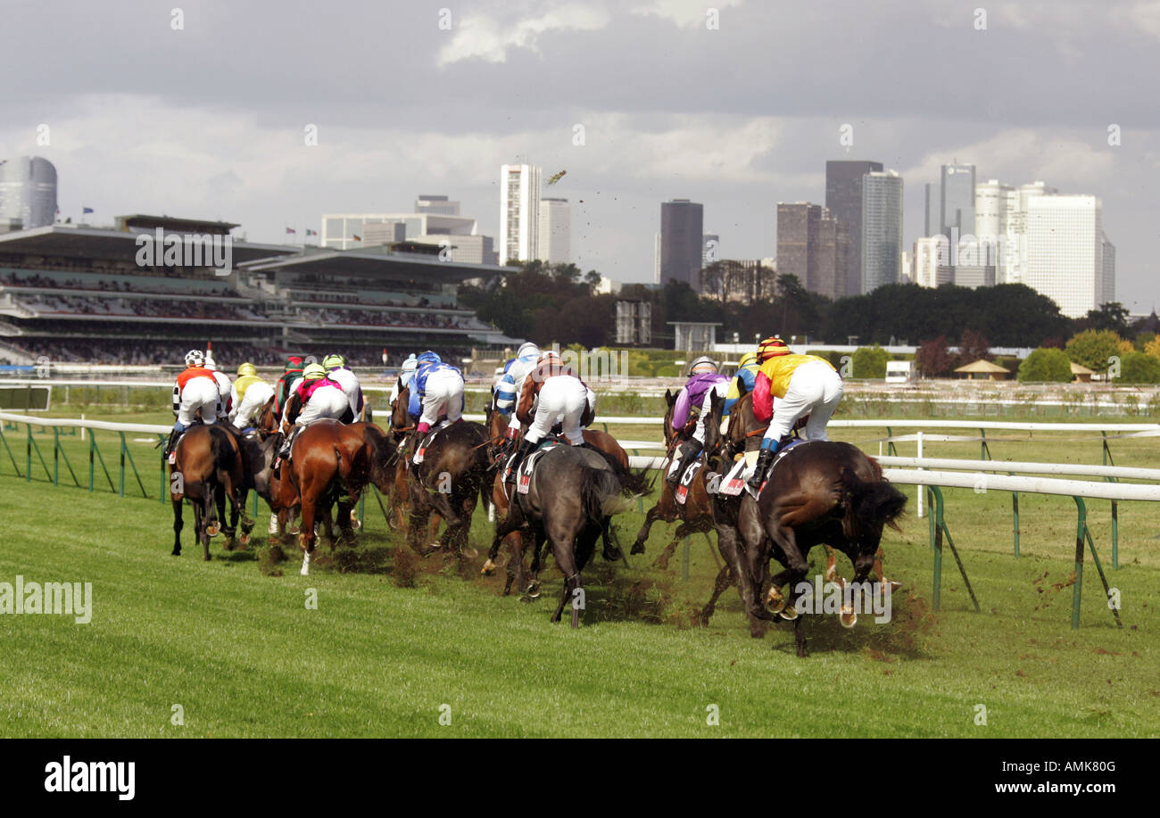 Rennpferde in Longchamp in Paris, Frankreich Stockfoto