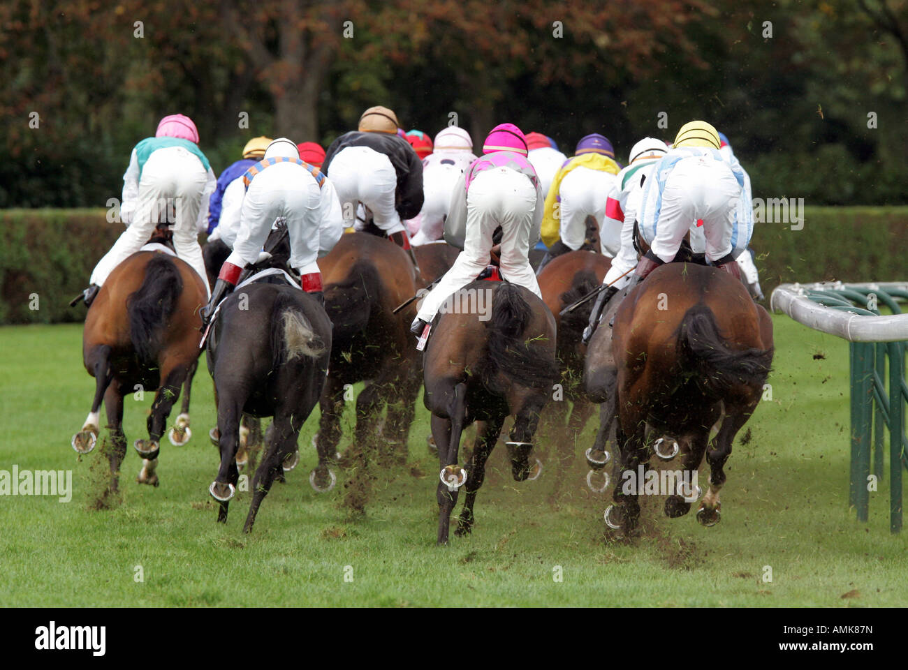 Rennpferde in Longchamp in Paris, Frankreich Stockfoto