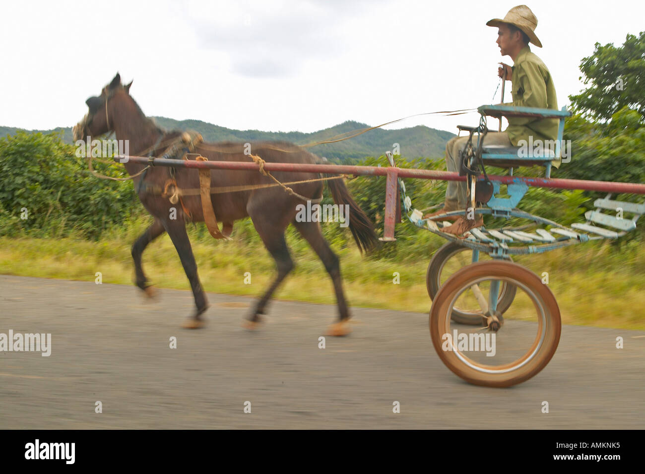 Pferd gezeichneten Wagen durch die Landschaft des zentralen Kuba Reisen Stockfoto
