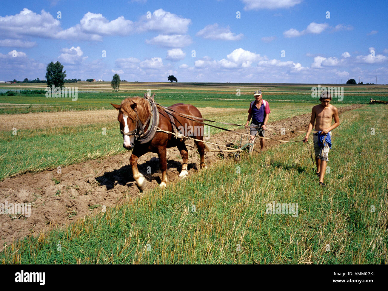 Polen Jadowniki Bauern Plackerei Mühe Pferd Stockfoto