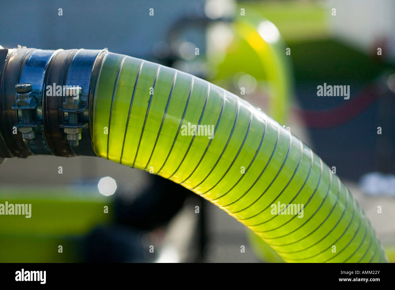 Eine AlgaeLink Alge wachsendes System, die geerntet wird, um Ethanol und Biodiesel zu machen Stockfoto