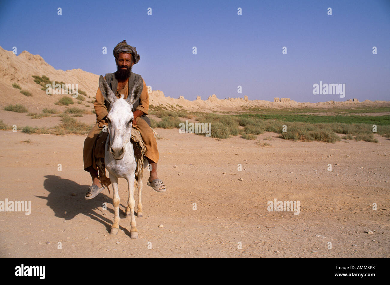 Mann auf Esel, Mauern der alten Stadt Balkh im Hintergrund, Nordafghanistan.  Die Schlamm-Mauern der Bala Hissar (Fort). Stockfoto