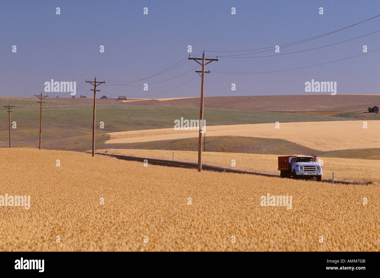 LKW auf der Straße durch Weizen Feld Washington State, USA Stockfoto