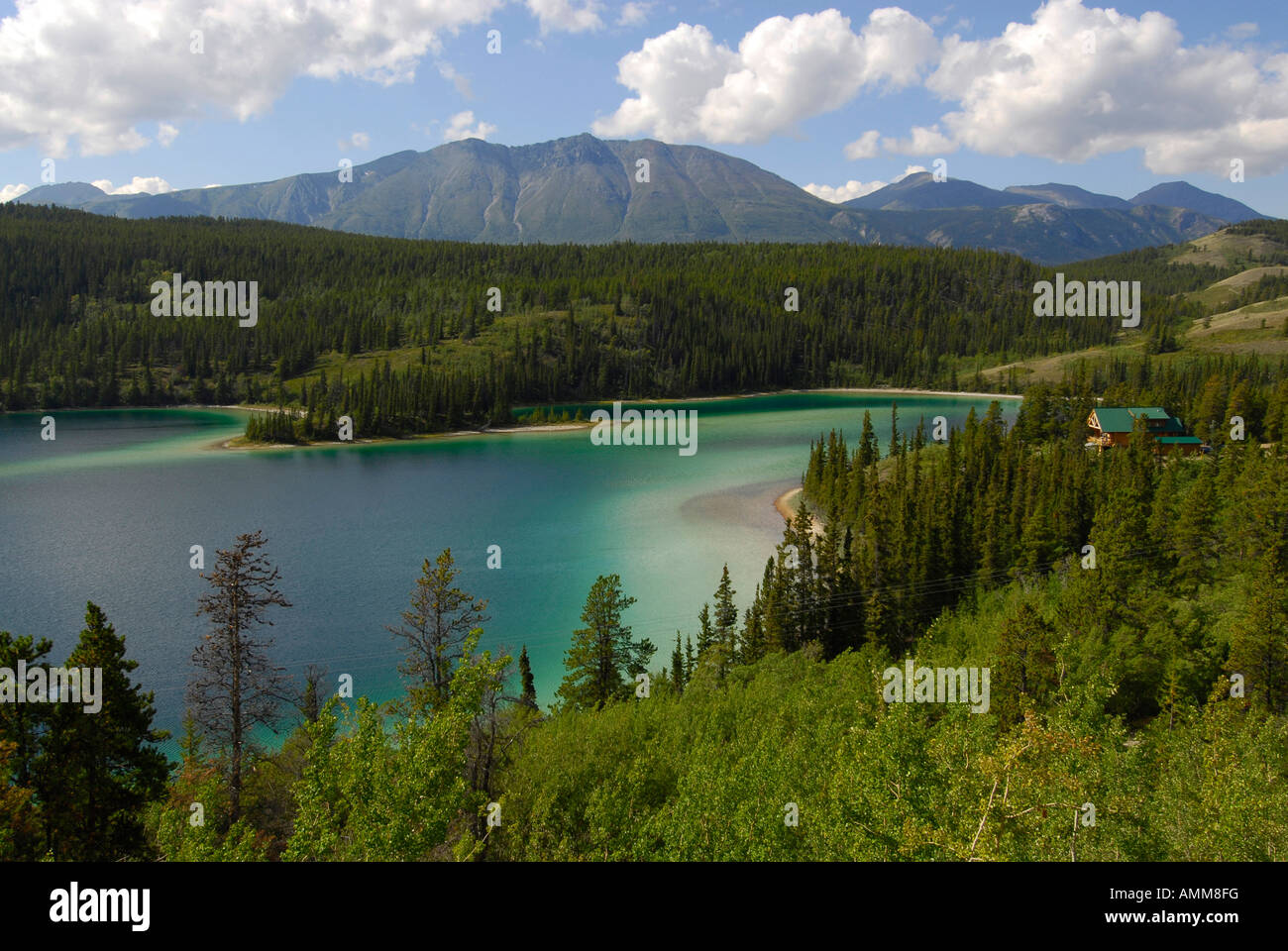 Emerald Lake entlang South Klondike Highway Yukon Territorium YT Kanada Stockfoto