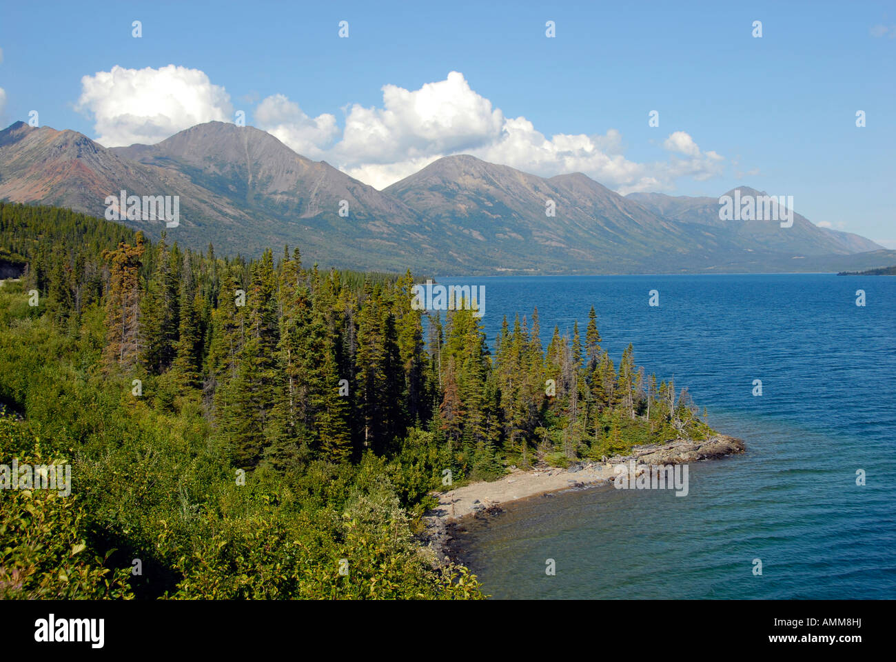 Windige Armverlängerung des Tagish Lake entlang South Klondike Highway Yukon Territorium YT Kanada Stockfoto