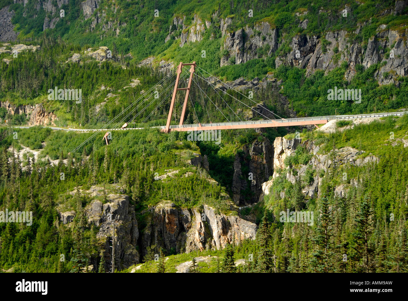 William Moore Hängebrücke über Moore Creek in White Pass auf South Klondike Highway in der Nähe von Skagway Alaska AK USA uns Stockfoto