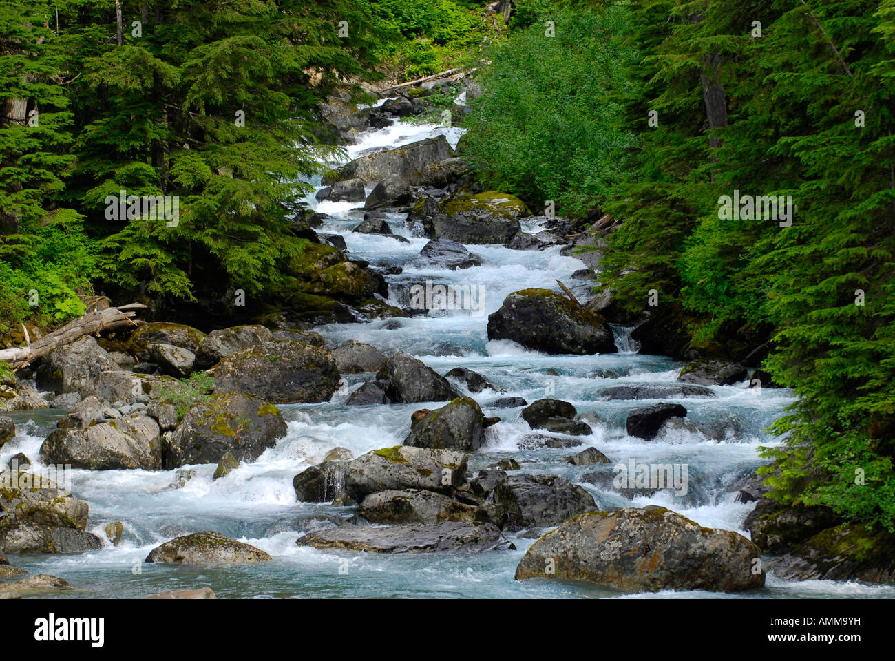 Salmon River in der Nähe Salmon Glacier Hyder Alaska AK uns USA Stewart Vancouver BC Kanada Stockfoto