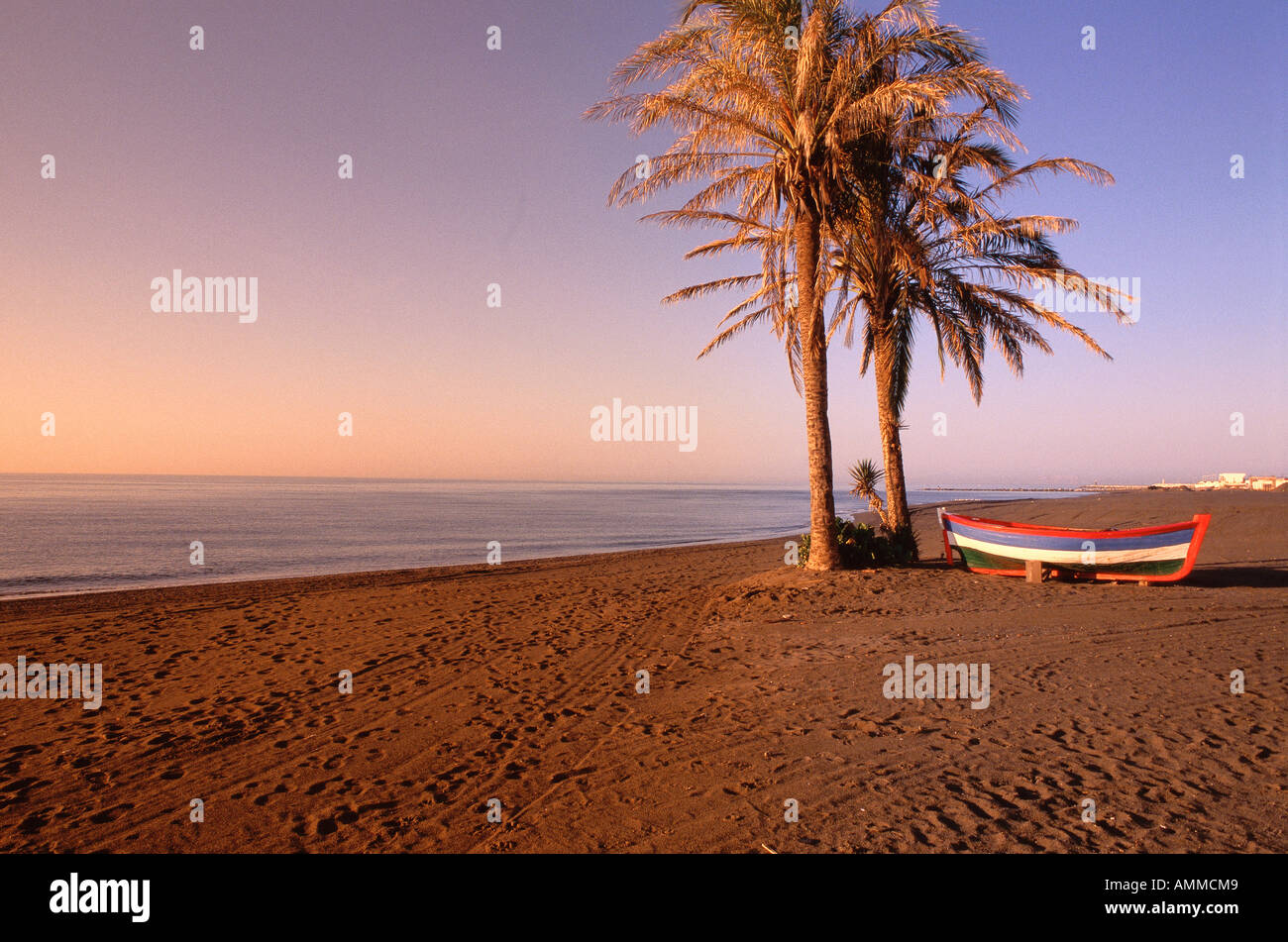 Strand, Palmen und Boot, Costa Del Sol, Spanien Stockfoto