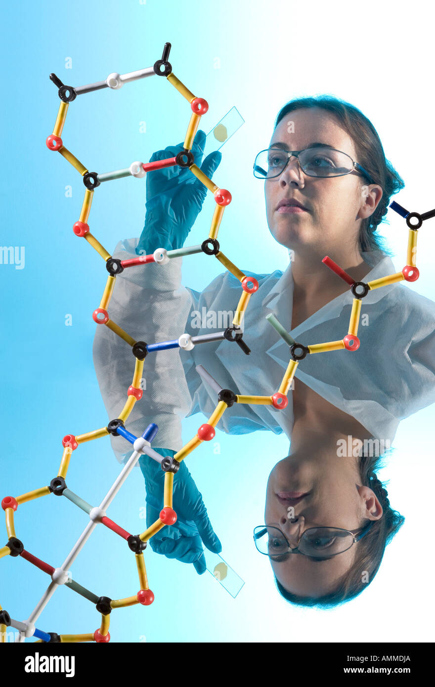 Die Erforschung der Genetik mit Modell der DNA-Helix Stockfoto