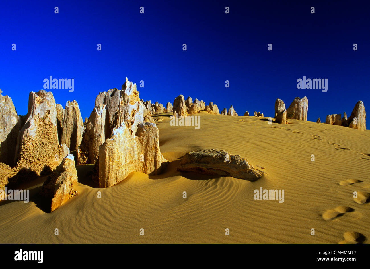 Die Pinnacles Cervantes National Parks Western Australia Stockfoto
