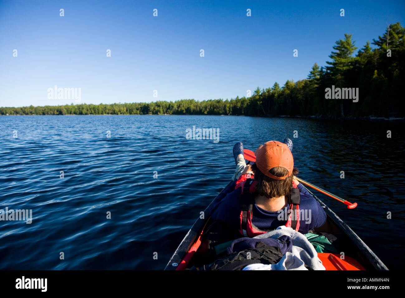 Küstenlinie auf Lily Bucht, die von Plum Creek Maine USA entwickelt werden könnte Stockfoto