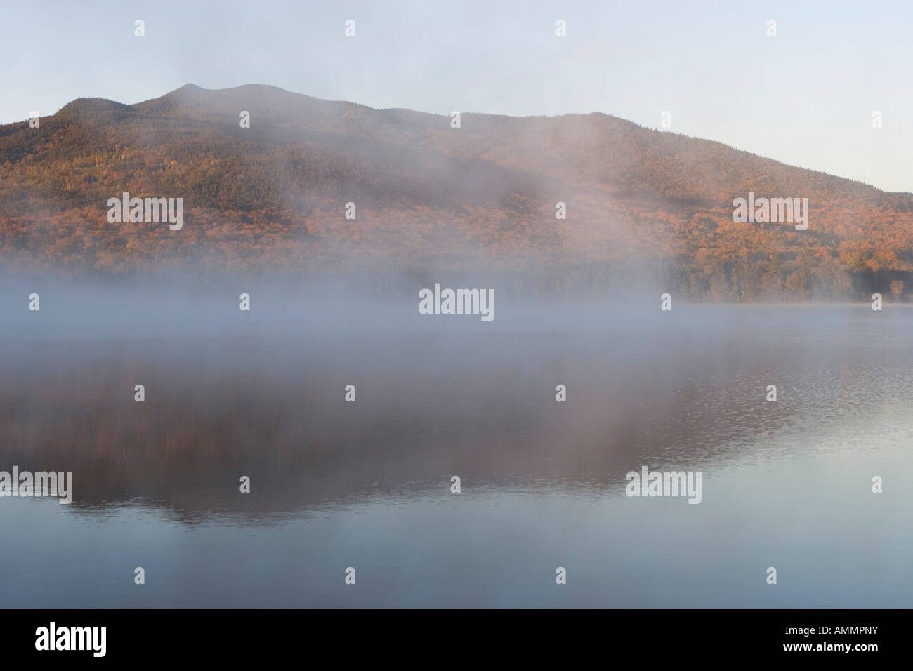 Morgennebel steigt aus Mountain View Teich in der Nähe von Moosehead Lake Maine USA Stockfoto
