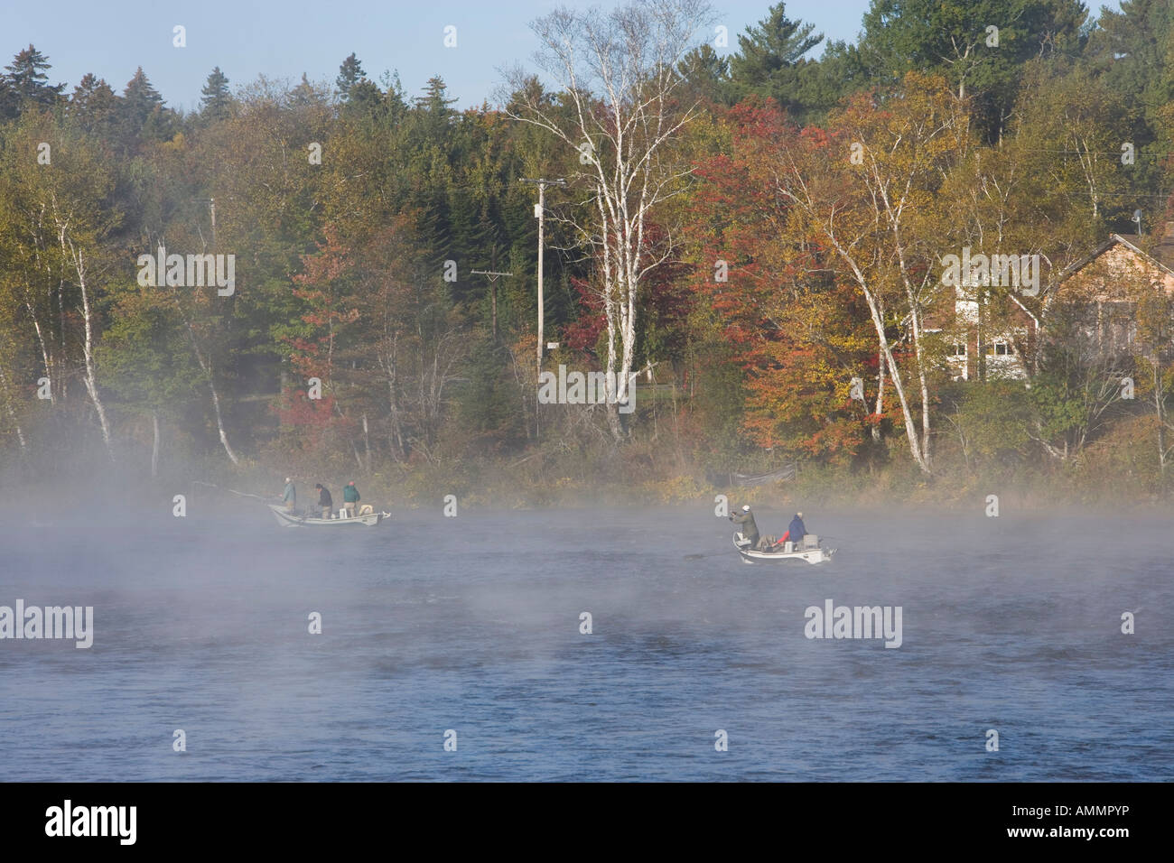 Angeln am East Outlet des Kennebec River nur unterhalb des Damms auf Moosehead Lake in Maine s Northern Forest Stockfoto