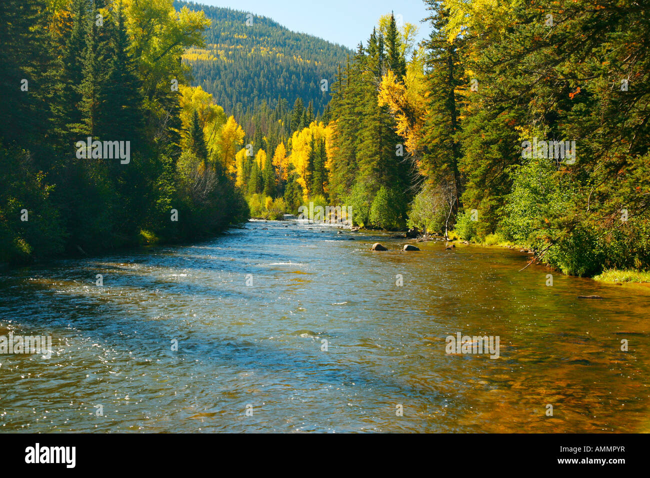 Colorado Quellgebiet Des Flusses Rio Grande Entlang Silver Thread Scenic Byway Stockfotografie Alamy