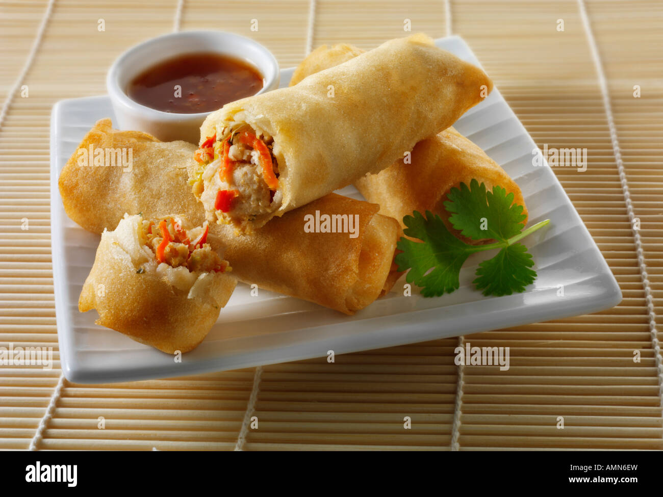 Orientalische Frühlingsrollen gefüllt mit Huhn, Gemüse mit einem Chili-Dip-sauce Stockfoto