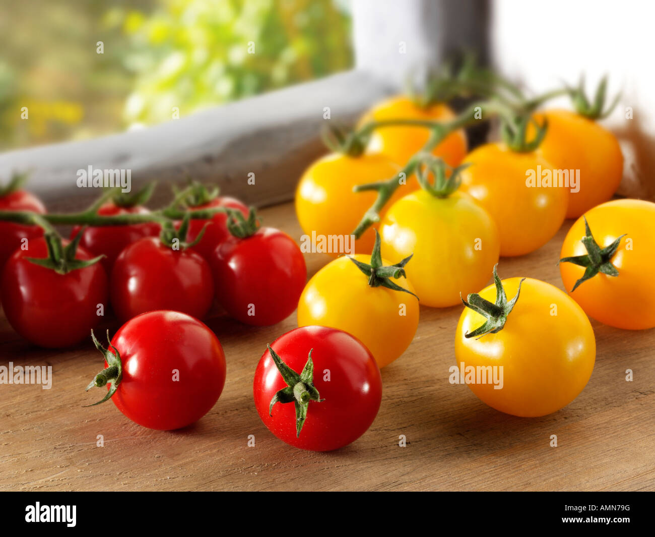Rote und gelbe Tomaten am Rebstock Stockfoto
