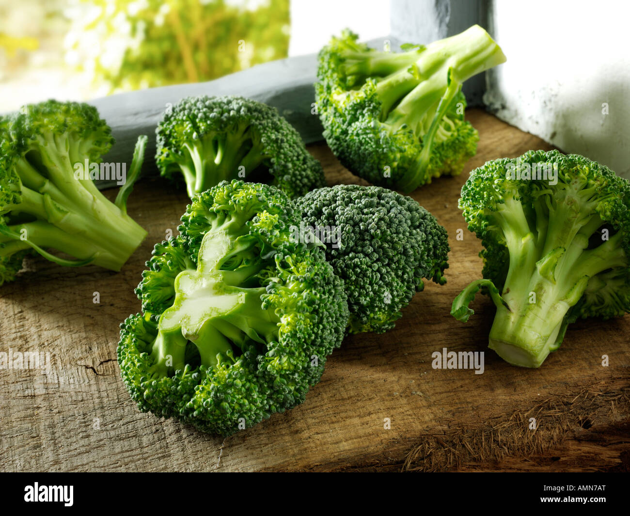 Nahaufnahme der Brokkoli auf einem hölzernen Hintergrund Stockfoto