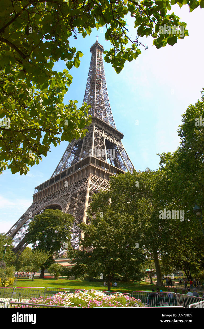 Paris France Eiffel Tower durch Bäume Stockfoto