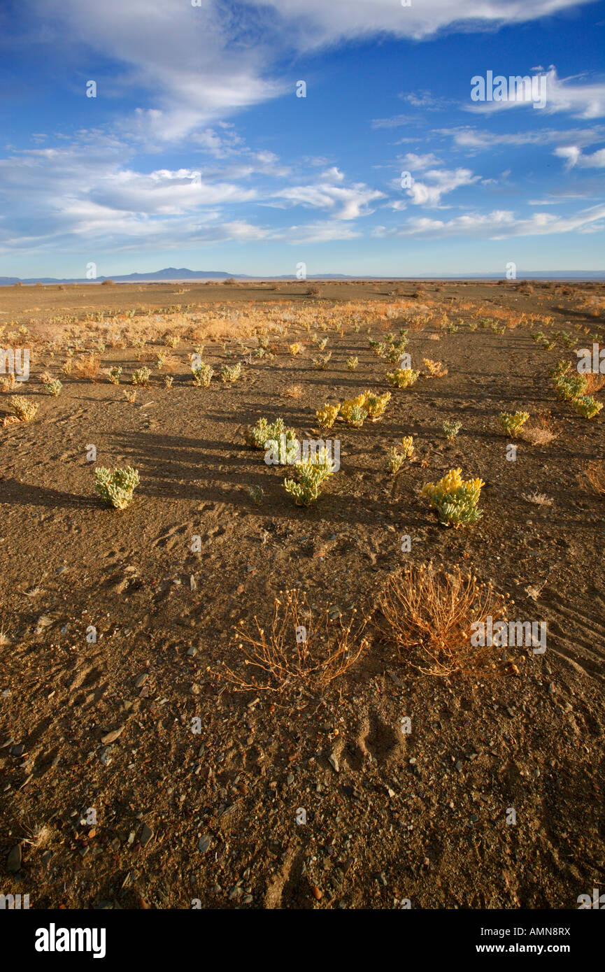 Malerische Aussicht auf die Vegetation und Landschaft im Tankwa-Karoo-Nationalpark Stockfoto