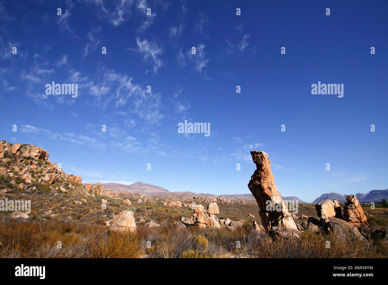 Erodierte Sandstein Felsformationen in den Cedarberg Bergen Stockfoto