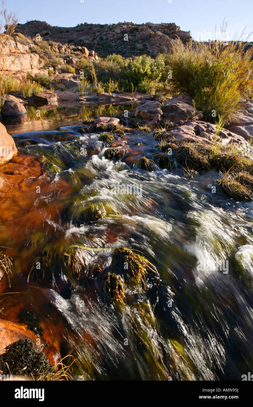 Ein klarer Gebirgsbach in den Cedarberg Stockfoto