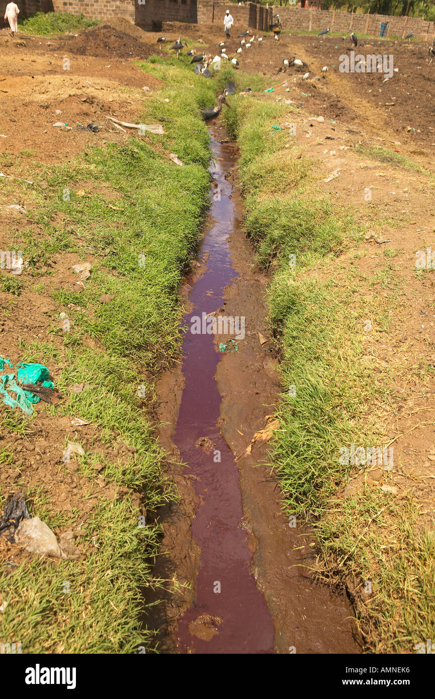 Fluss von Blut fließt aus Nyongara Schlachthof in Nairobi Kenia Afrika Stockfoto