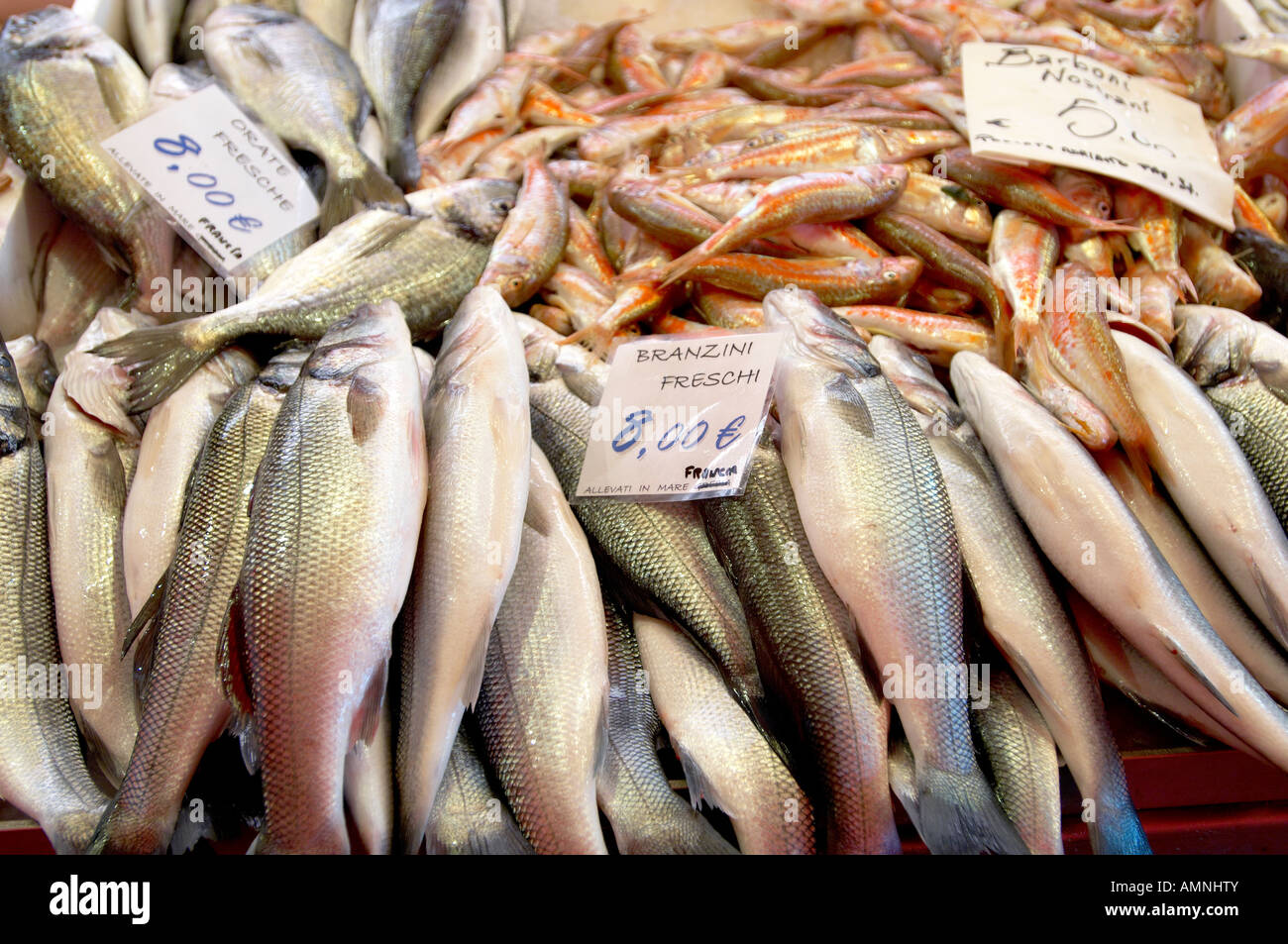 Frischer Meeresfisch Essen Markt - Bass Stockfoto