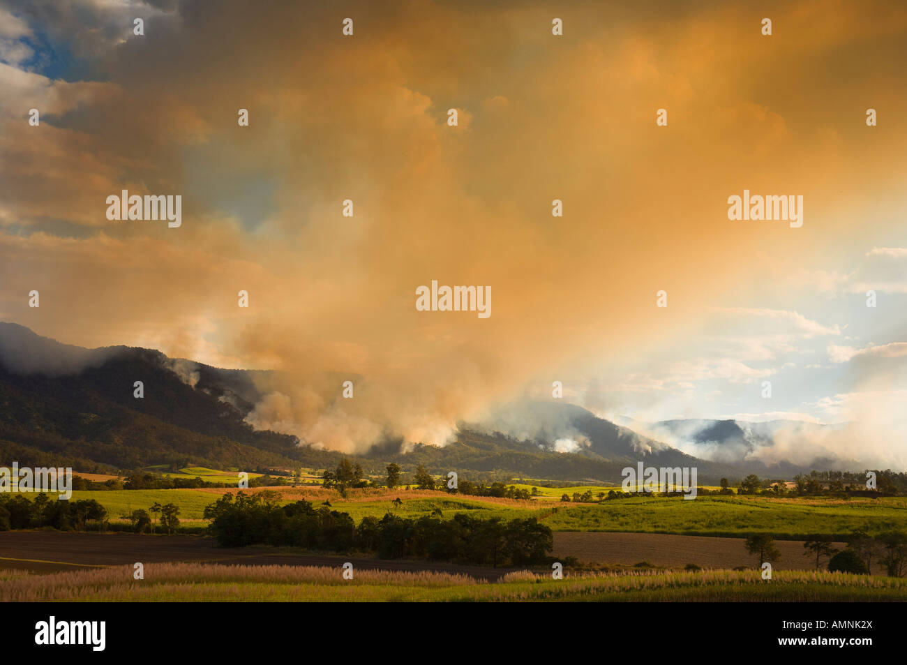 Bushfire, Finch Hatton, Pioneer Valley, Queensland, Australien Stockfoto