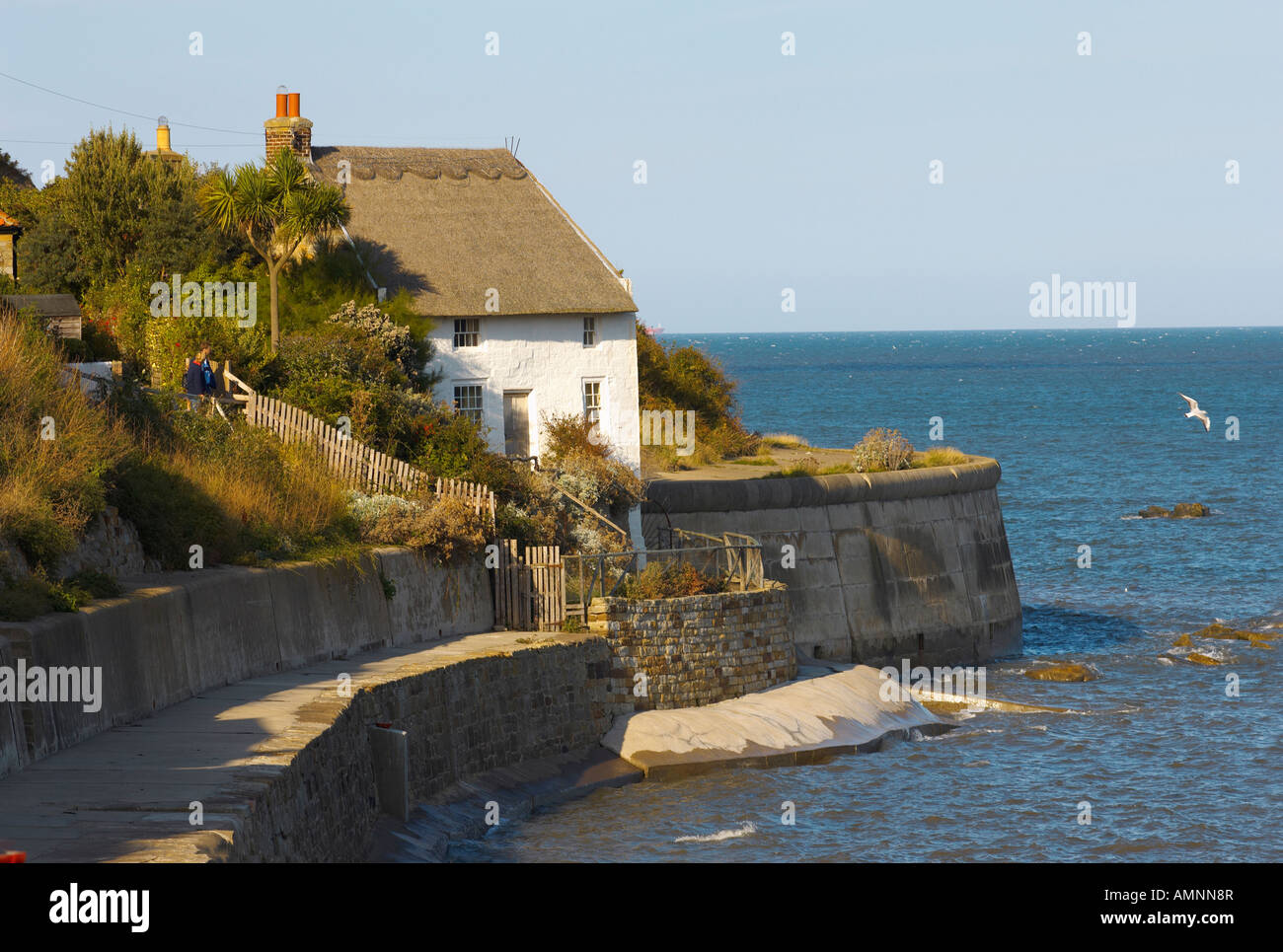 Runswick Bay North Yorkshire Kapitän Cooke Haus auf der Hafenmauer. North Yorkshire-Nationalpark. Stockfoto