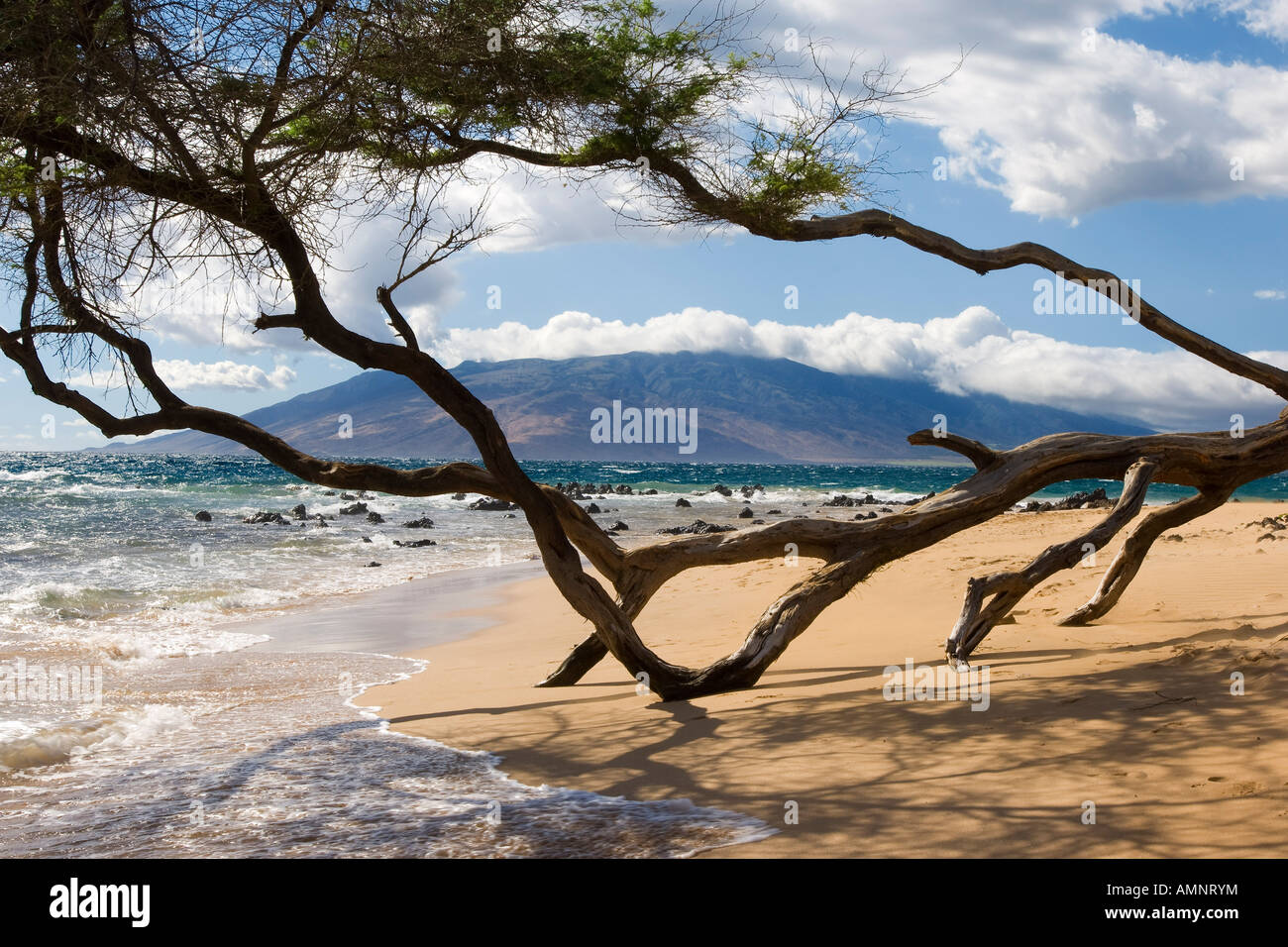 Überblick über Beach, Maui, Hawaii, USA Stockfoto