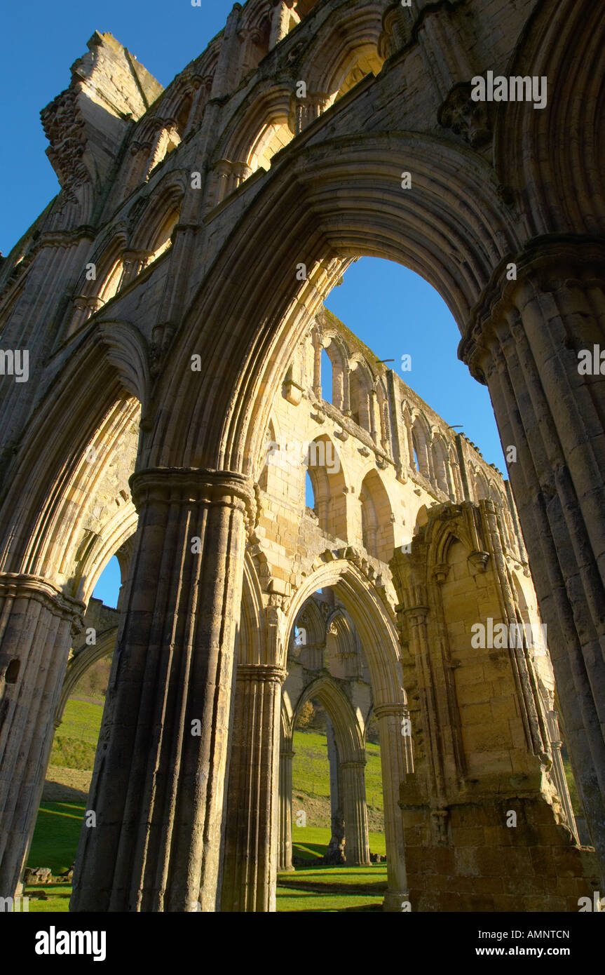 Hauptschiff mit gotischen Bögen und Fenster, Rievaulx Abbey, Nationalpark in North Yorkshire, England Stockfoto