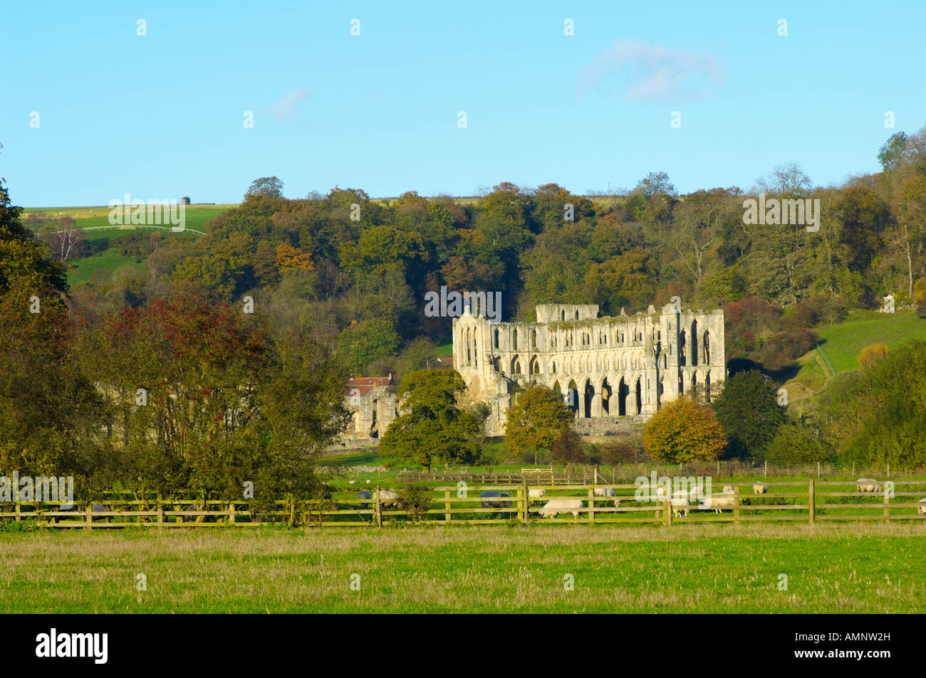 Blick auf die Abtei über die Felder. English Heritage Site. Rievaulx Abtei, Nationalpark in North Yorkshire, England Stockfoto