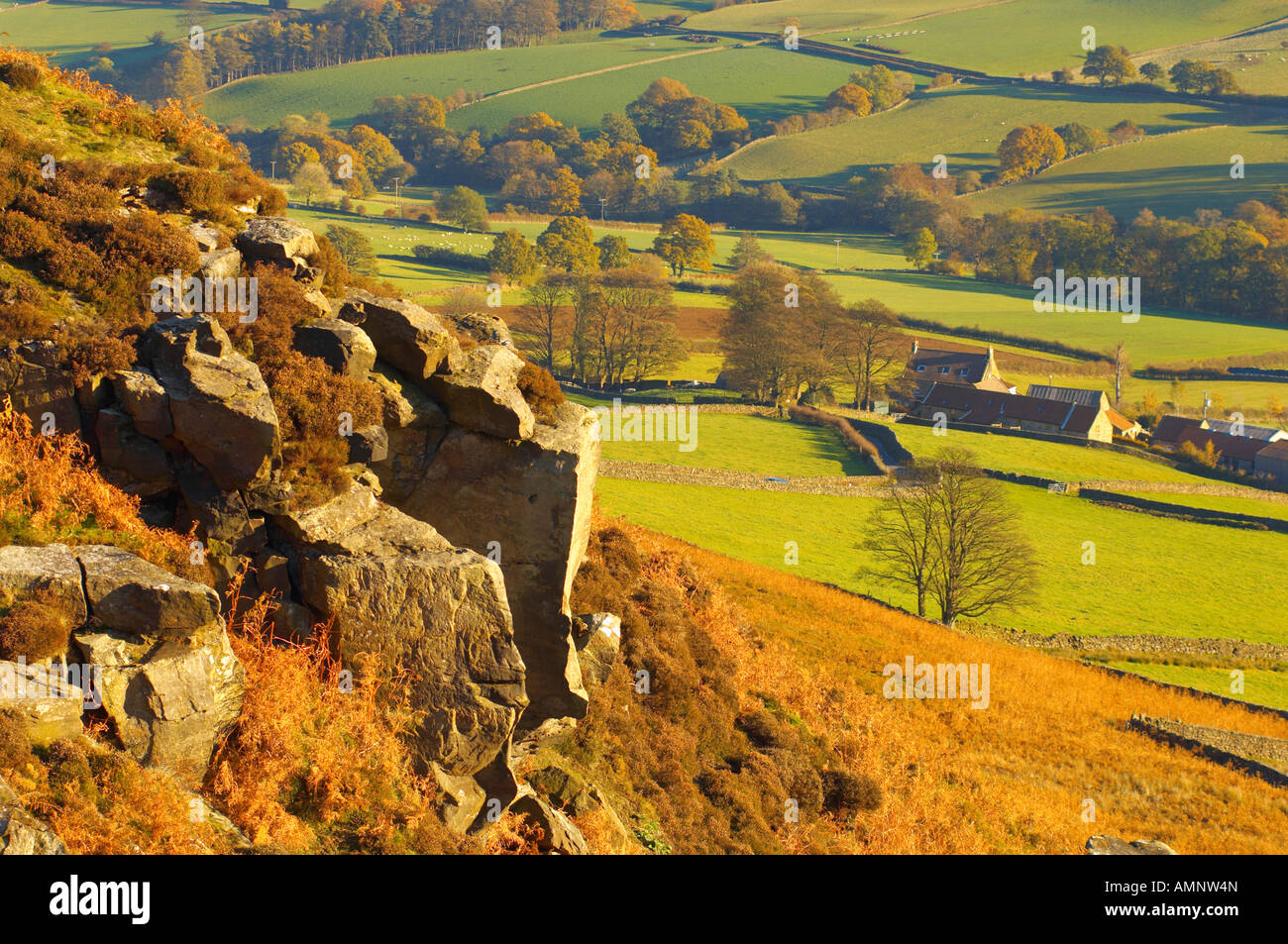 Danby Dale in den Mauren auf die Mauren Farmen.  North Yorkshire Moors Nationalpark England Stockfoto