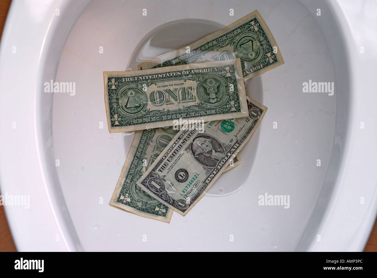 "US-Dollar, Geld in die Toilette" Stockfoto