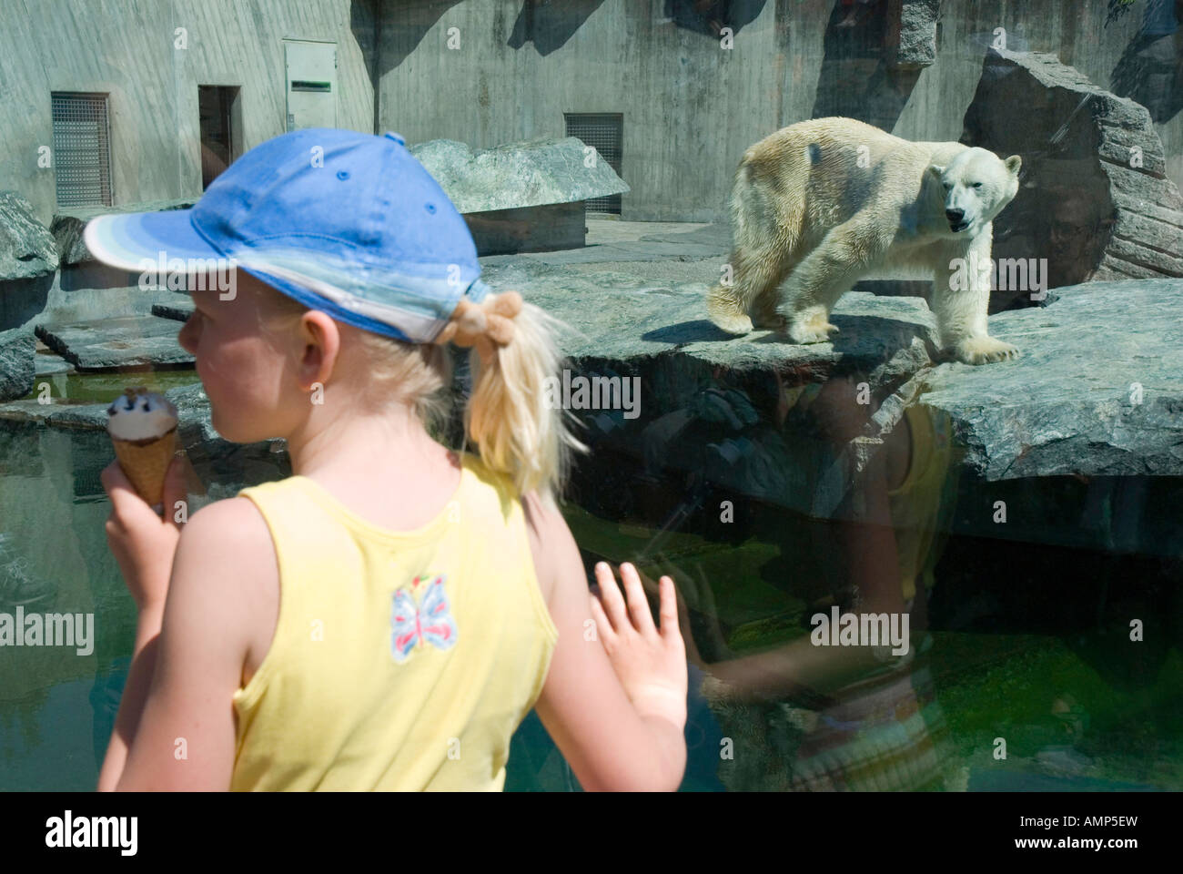 Eisbär in der Wilhelma zoologischen und botanischen Garten STUTTGART Deutschland Jahr 2007 Stockfoto